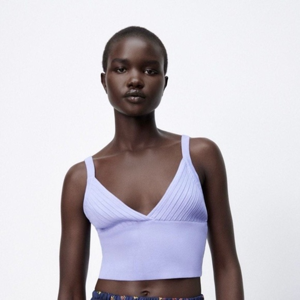 Zara periwinkle crop top